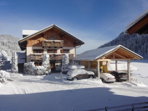 Appartement Unterbrandstätt, Wagrain, Österreich